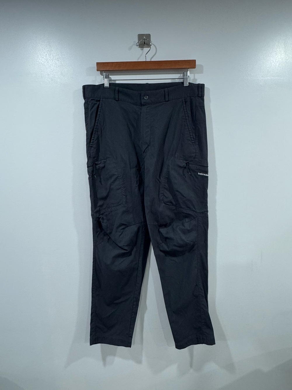 Icebreaker‎ Men Grey Pant Size 36